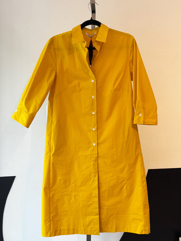 Caliban Button Down Dress