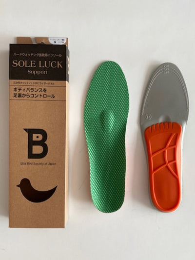 WBSJ boots Support insoles.